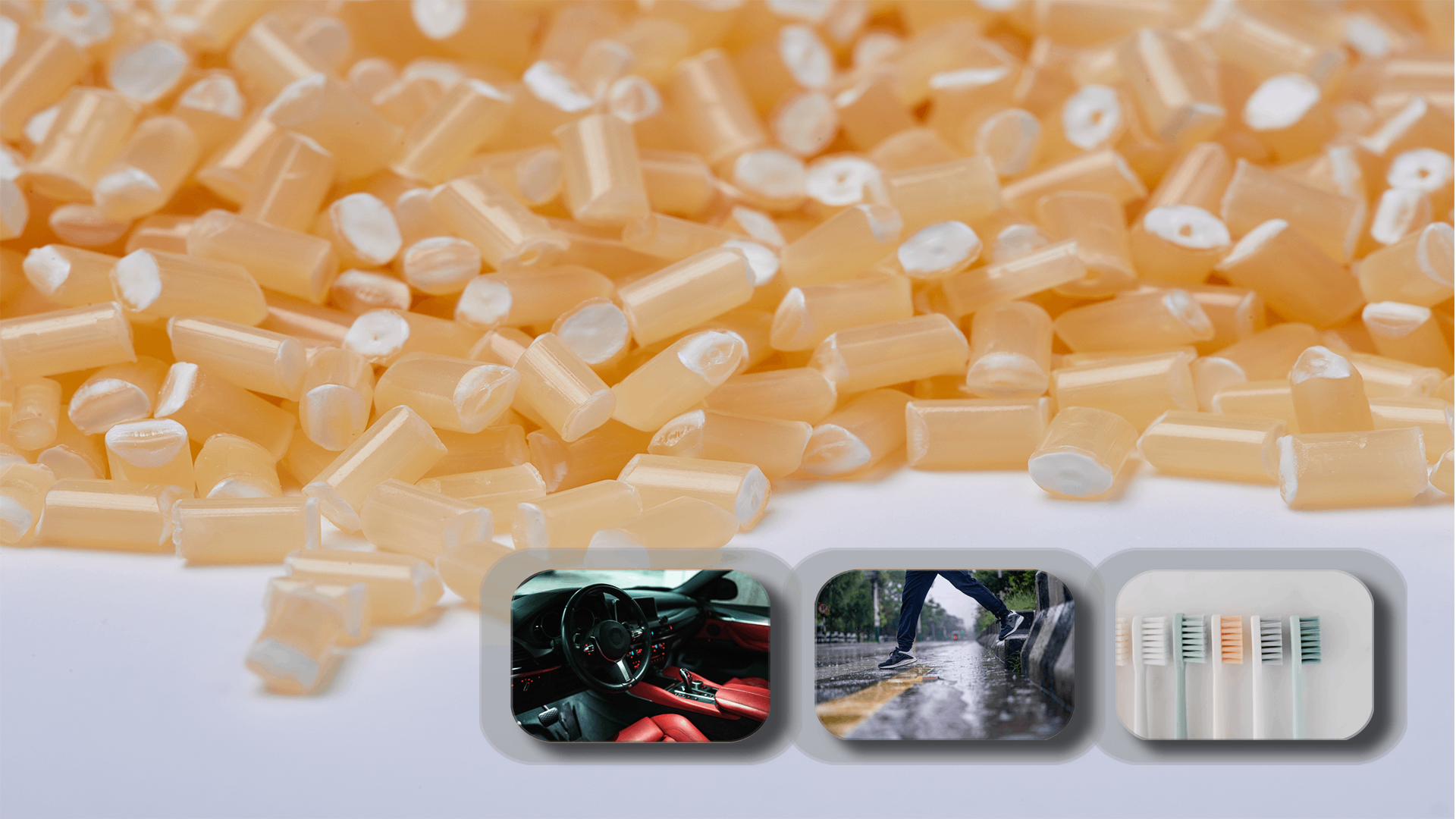 Banner Image 2